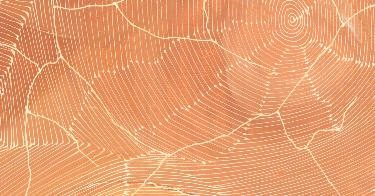 Sarrita King | 'Ngurra, 2025' | 30x60cm