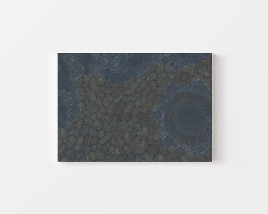 Sarrita King | 'Waterhole - Wet Season, 2023' | Canvas Print