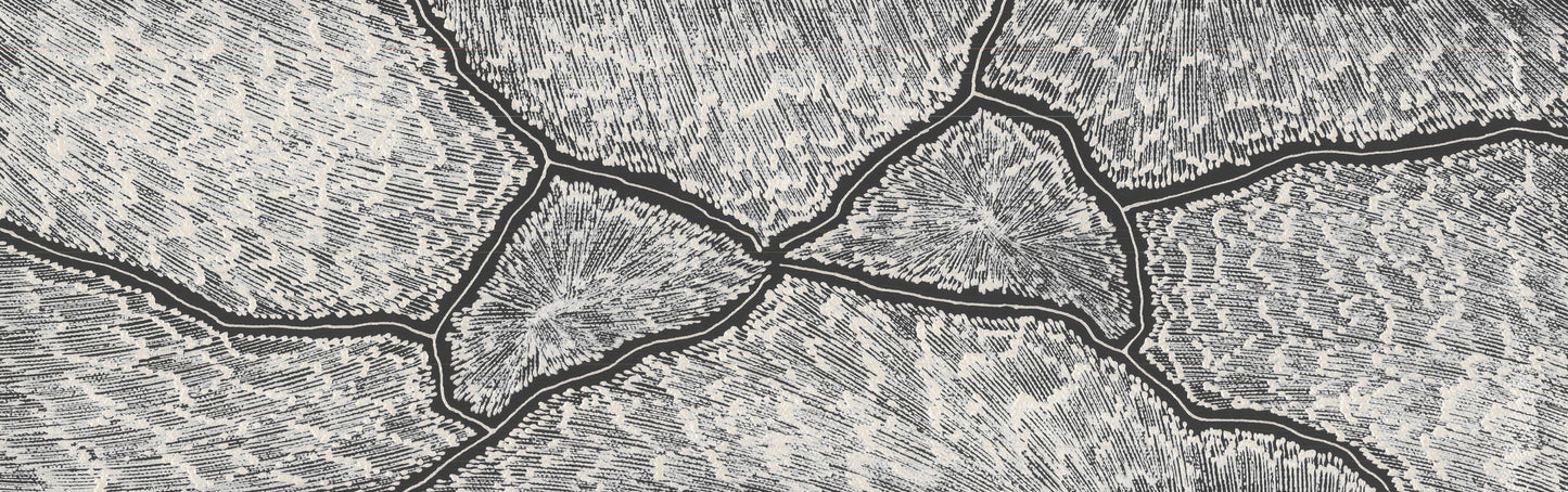 'Lightning' | 20x60cm