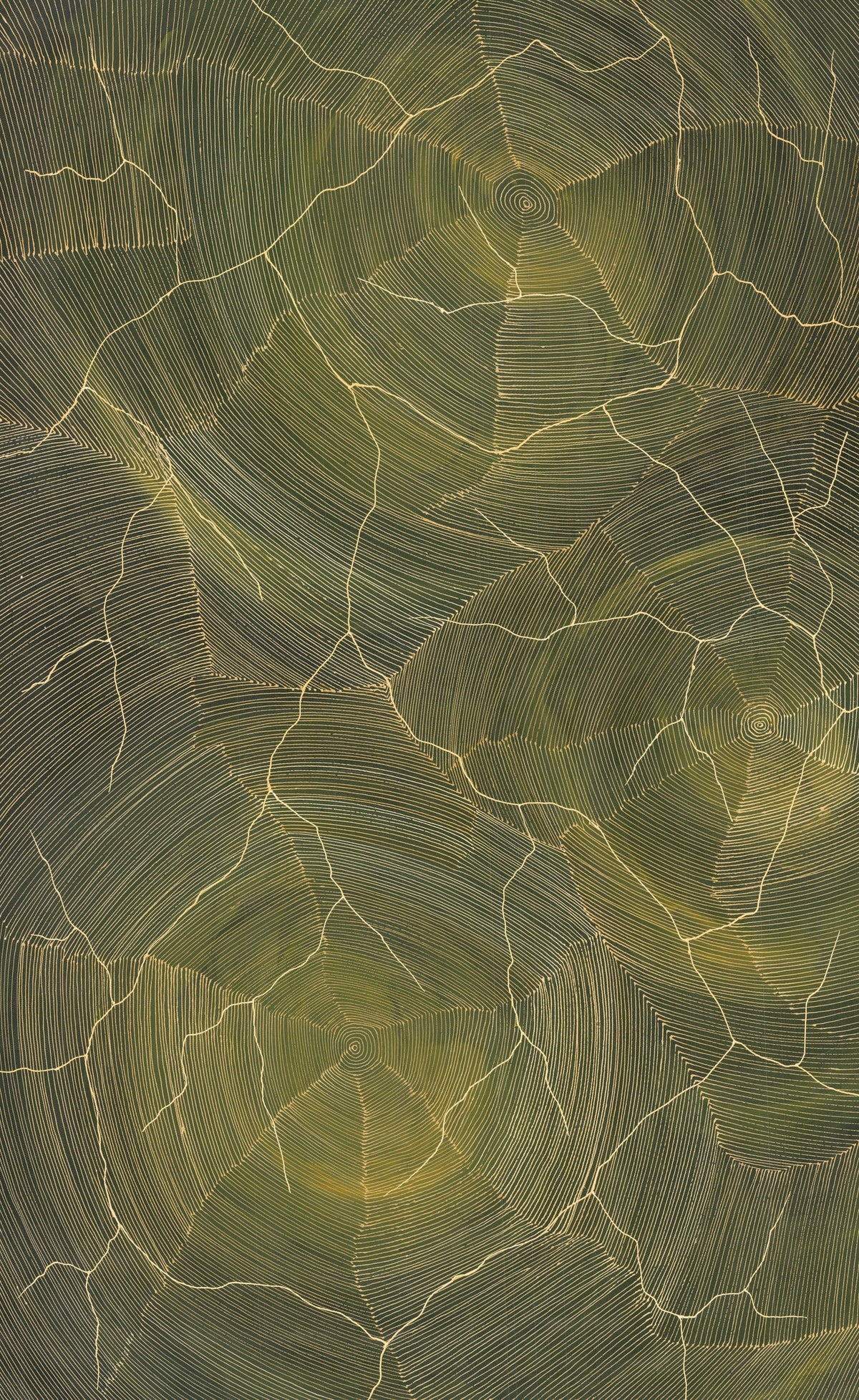 Sarrita King | 'Ngurra, 2026' | 75x120cm