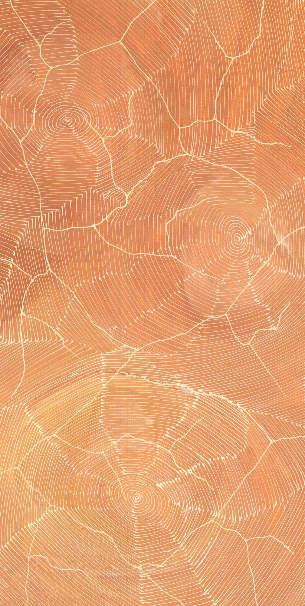 An aerial-style painting in warm terracotta and peach tones, with concentric white rings suggesting waterholes and fine cracked lines spreading like dry riverbeds across the surface.