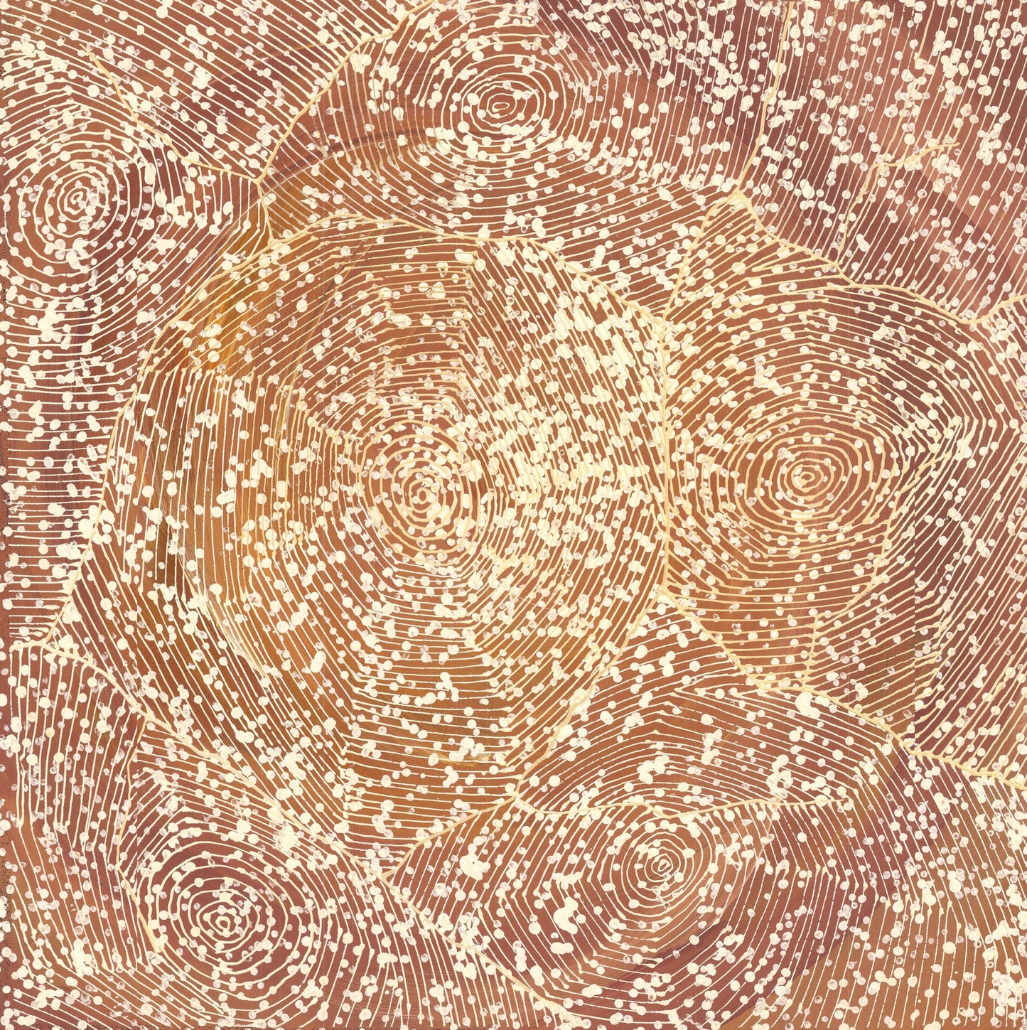 An aerial-style dot painting in warm terracotta and cream, with concentric circles and flowing combed lines suggesting waterholes, dunes and pathways across Country.