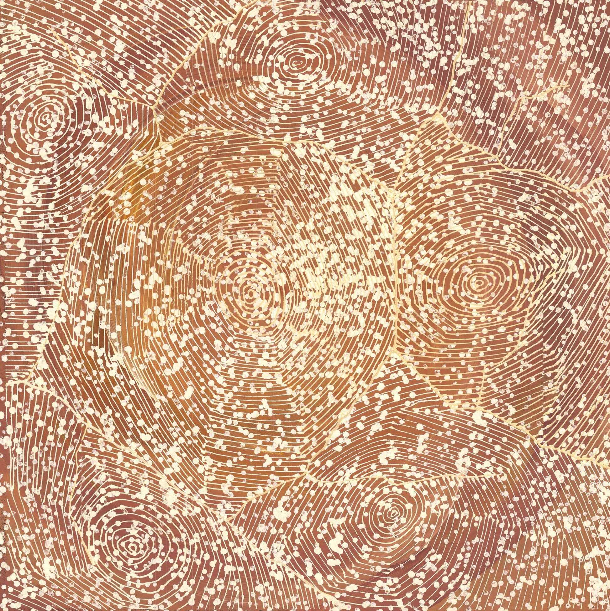 An aerial-style dot painting in warm terracotta and cream, with concentric circles and flowing combed lines suggesting waterholes, dunes and pathways across Country.