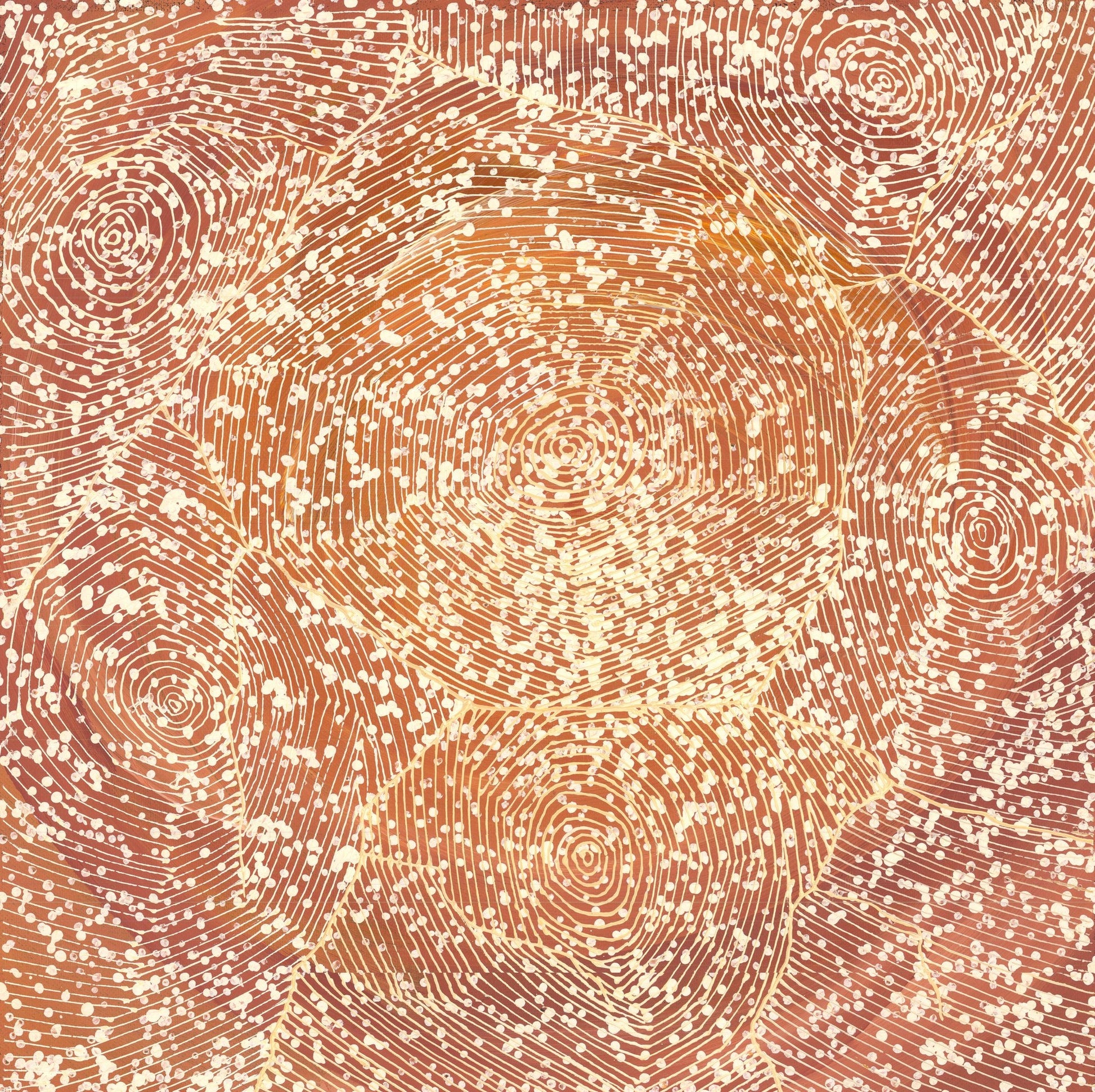 Additional view of Ngurra by Sarrita King