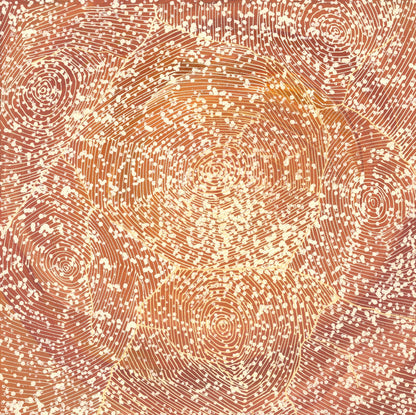 Additional view of Ngurra by Sarrita King