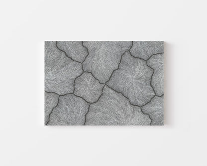 'Lightning, 2023' | Fine Art Print