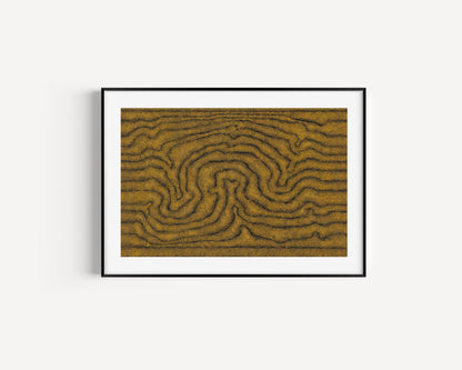 William King Jungala | 'Movement of the Earth' | 2005 | Fine Art Print