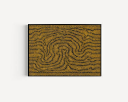 William King Jungala | 'Movement of the Earth' | 2005 | Fine Art Print