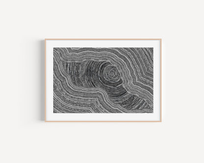Sarrita King | 'Language Of The Earth, 2024' | Fine Art Print