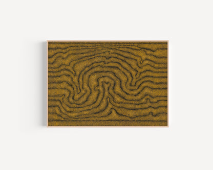 William King Jungala | 'Movement of the Earth' | 2005 | Fine Art Print