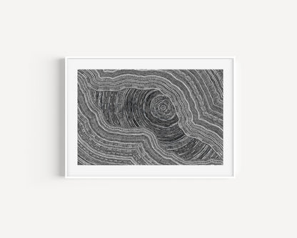 Sarrita King | 'Language Of The Earth, 2024' | Fine Art Print