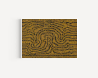 William King Jungala | 'Movement of the Earth' | 2005 | Fine Art Print