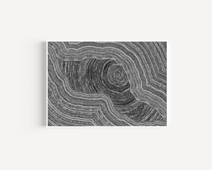 Sarrita King | 'Language Of The Earth, 2024' | Fine Art Print