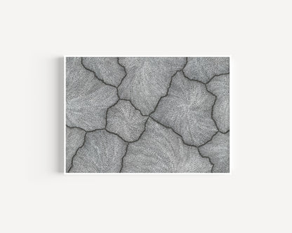 'Lightning, 2023' | Fine Art Print