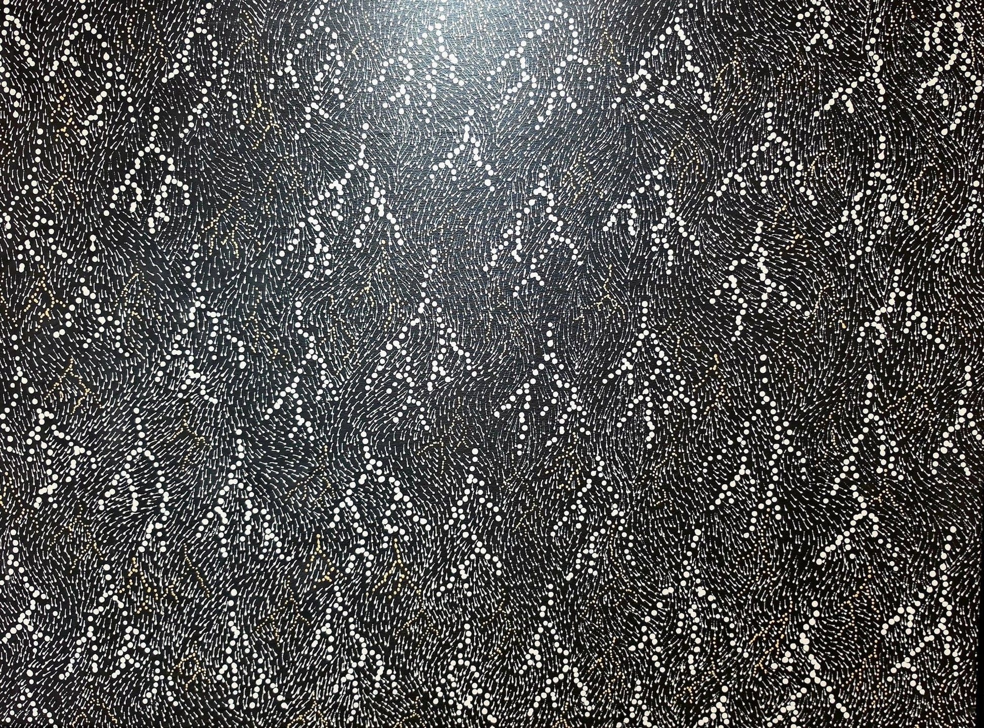 Dense aerial dot painting in white and cream on black, the dots falling in diagonal trails that suggest sheets of tropical rain across dark earth.