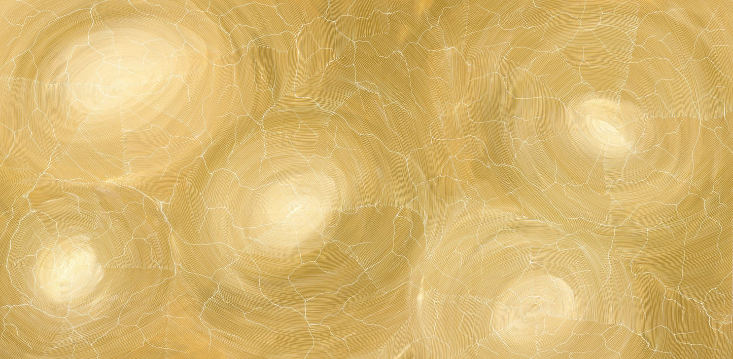 A large golden and cream painting by Sarrita King showing aerial views of Country, with concentric pale circles and fine white lines mapping cracked earth across the canvas.