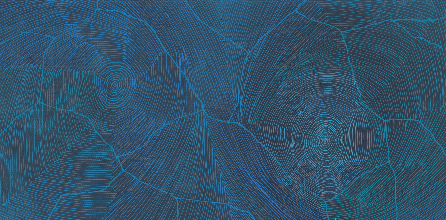 'Ngurra, 2024' | 30x60cm