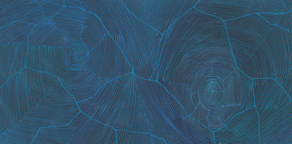 'Ngurra, 2024' | 30x60cm