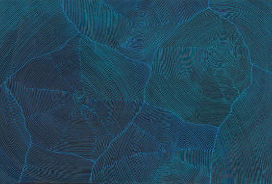 Sarrita King | 'Ngurra, 2024' | 40x60cm