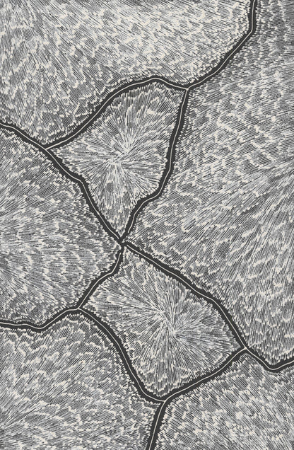 'Lightning, 2025' | 40x60cm