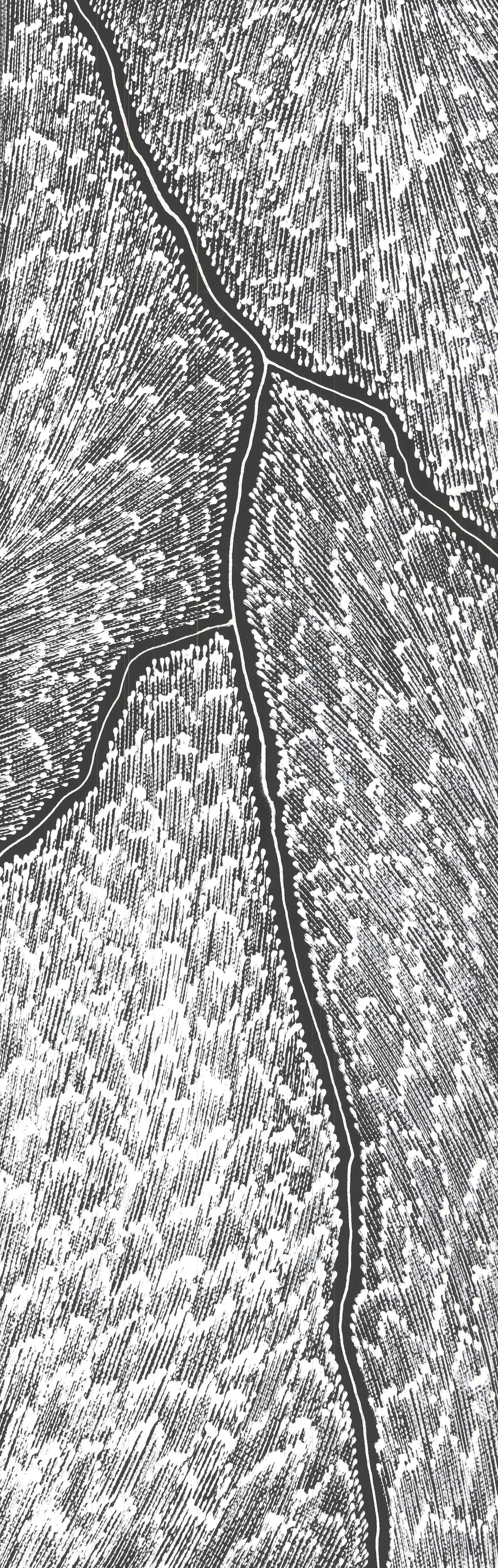 'Lightning' | 20x60cm