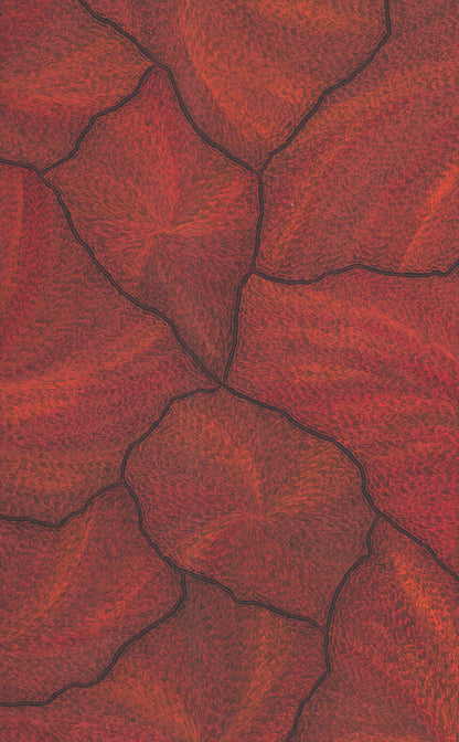 Sarrita King | 'Lightning, 2025' | 100x160cm