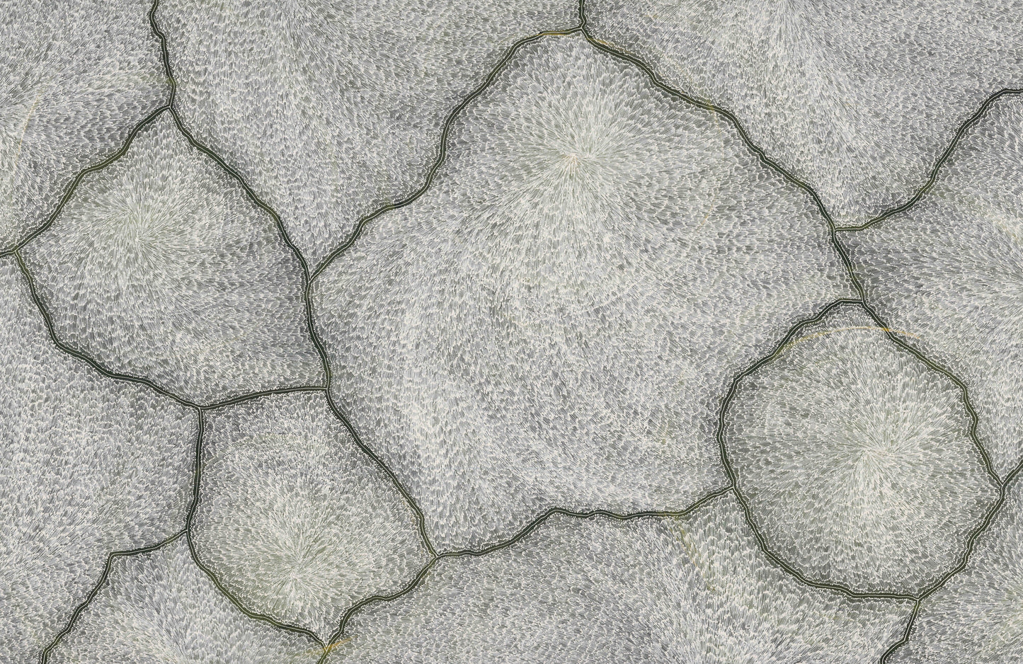 Sarrita King | 'Lightning, 2025' | 120x180cm