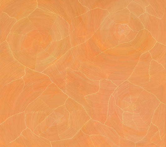An aerial-view abstract painting in warm apricot, ochre and gold, with fine pale lines forming concentric rings and ridged boundaries across the surface like waterholes and cracked earth seen from above.