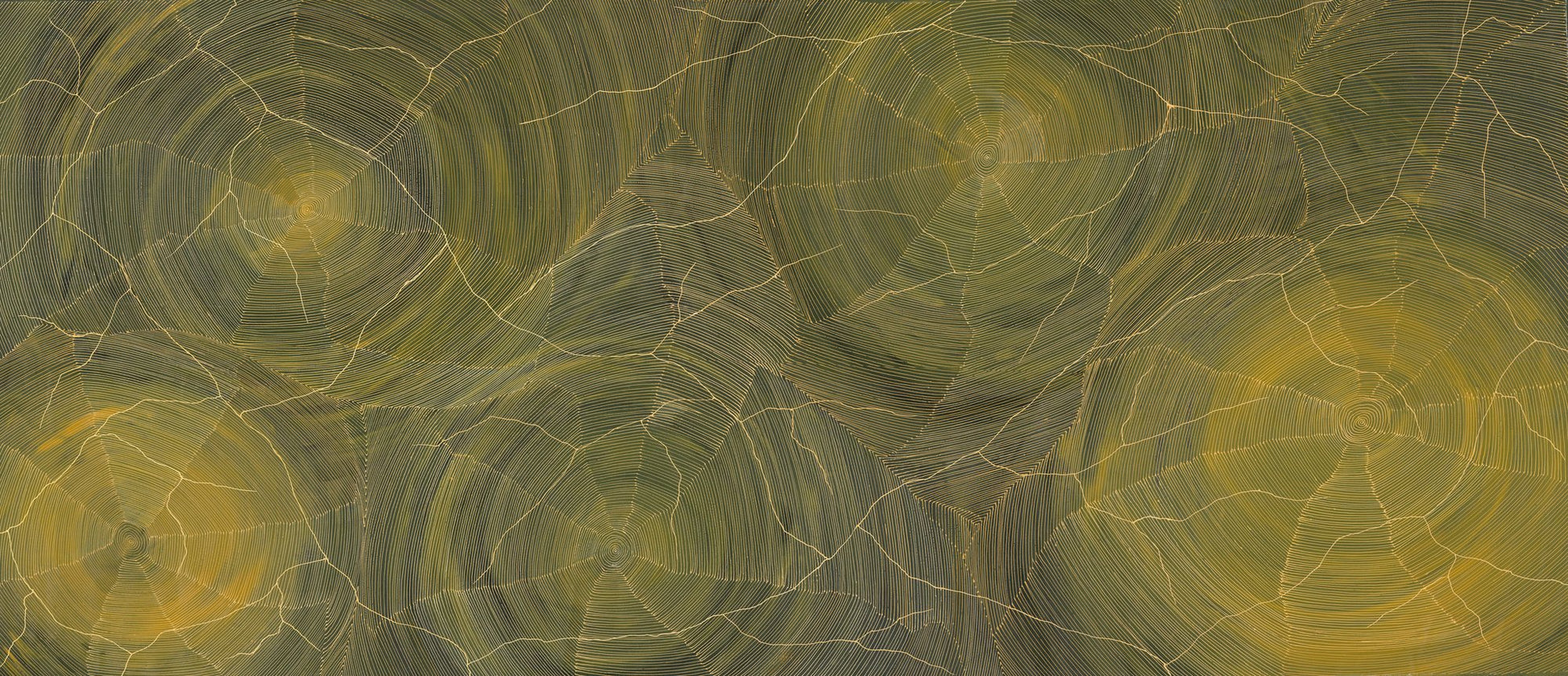 Additional view of Ngurra by Sarrita King
