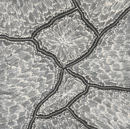 Monochrome painting by Sarrita King depicting forked lightning patterns in deep black channels separating radiant white starburst cells across a densely stippled grey field.
