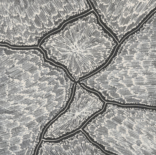 Monochrome painting by Sarrita King depicting forked lightning patterns in deep black channels separating radiant white starburst cells across a densely stippled grey field.