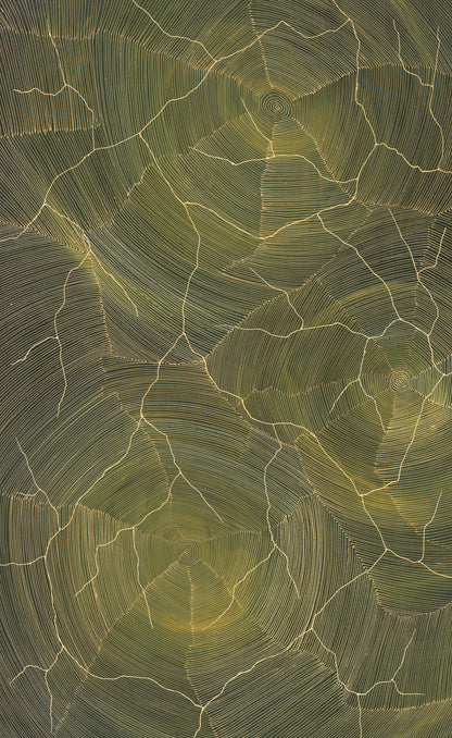 Sarrita King | 'Ngurra, 2026' | 75x120cm