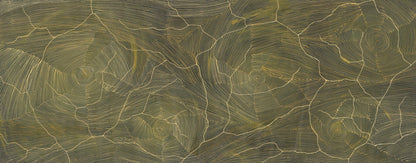 Rotated view of Ngurra
