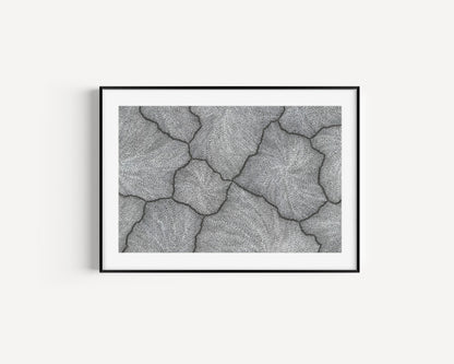 Sarrita King | 'Lightning, 2023' | Fine Art Print