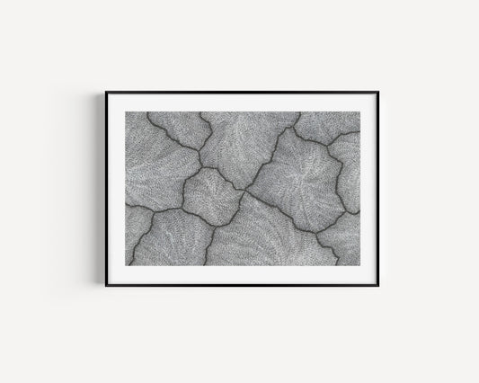 Sarrita King | 'Lightning, 2023' | Fine Art Print