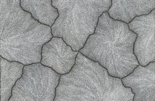 Sarrita King | 'Lightning, 2023' | Fine Art Print