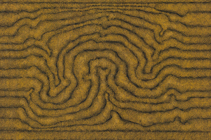 William King Jungala | 'Movement of the Earth' | 2005 | Fine Art Print