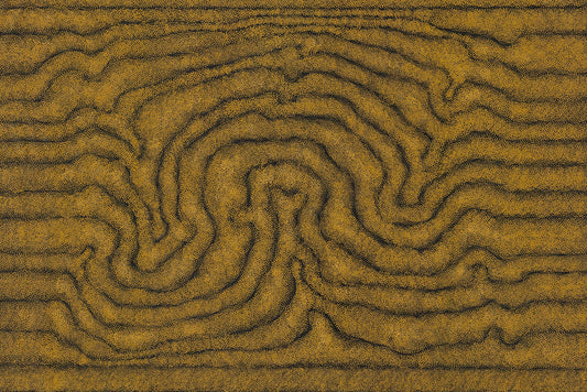 William King Jungala | 'Movement of the Earth' | 2005 | Fine Art Print