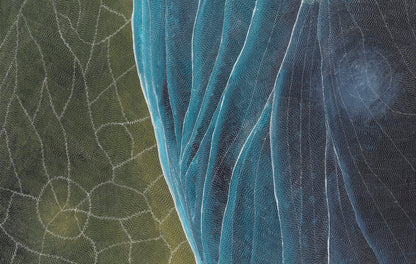 Sarrita King | 'Earth Elements, 2025' | Canvas Print