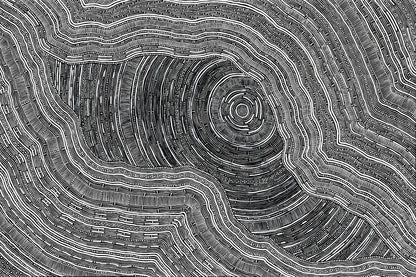 'Language Of The Earth, 2023' | Fine Art Print