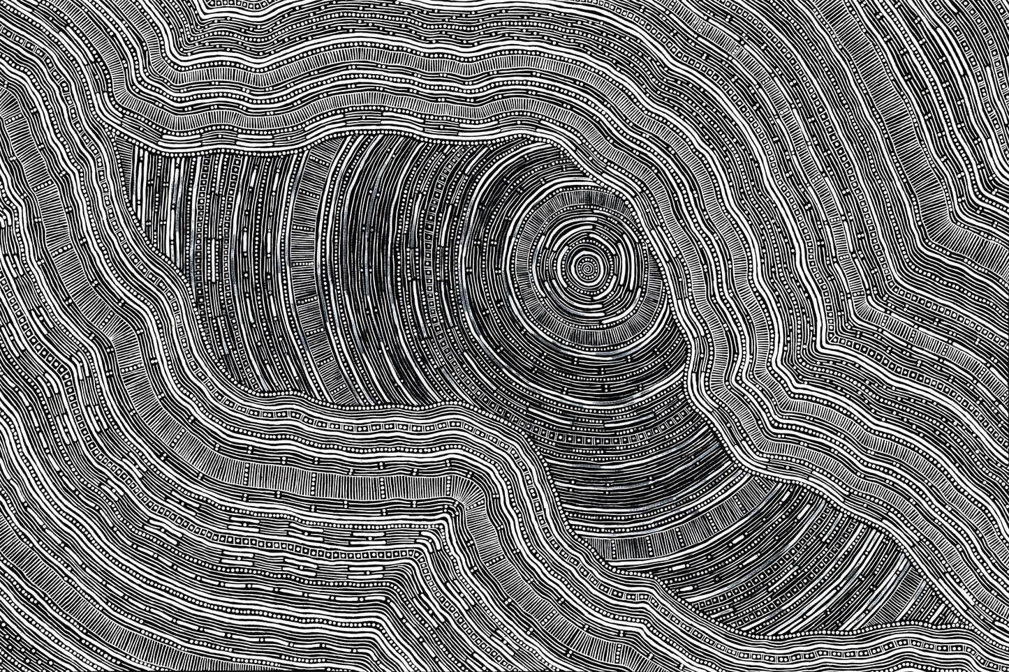 Sarrita King | 'Language Of The Earth, 2024' | Canvas Print