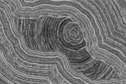 Sarrita King | 'Language Of The Earth, 2024' | Canvas Print