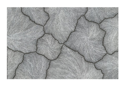 'Lightning, 2023' | Fine Art Print