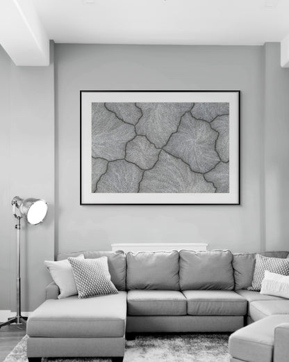 'Lightning, 2023' | Fine Art Print