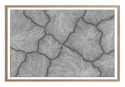 'Lightning, 2023' | Fine Art Print